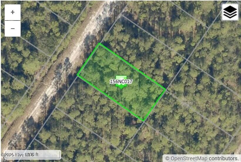 1021 Hawthorne Rd, Boiling Spring Lakes, NC 28461 - photo 1