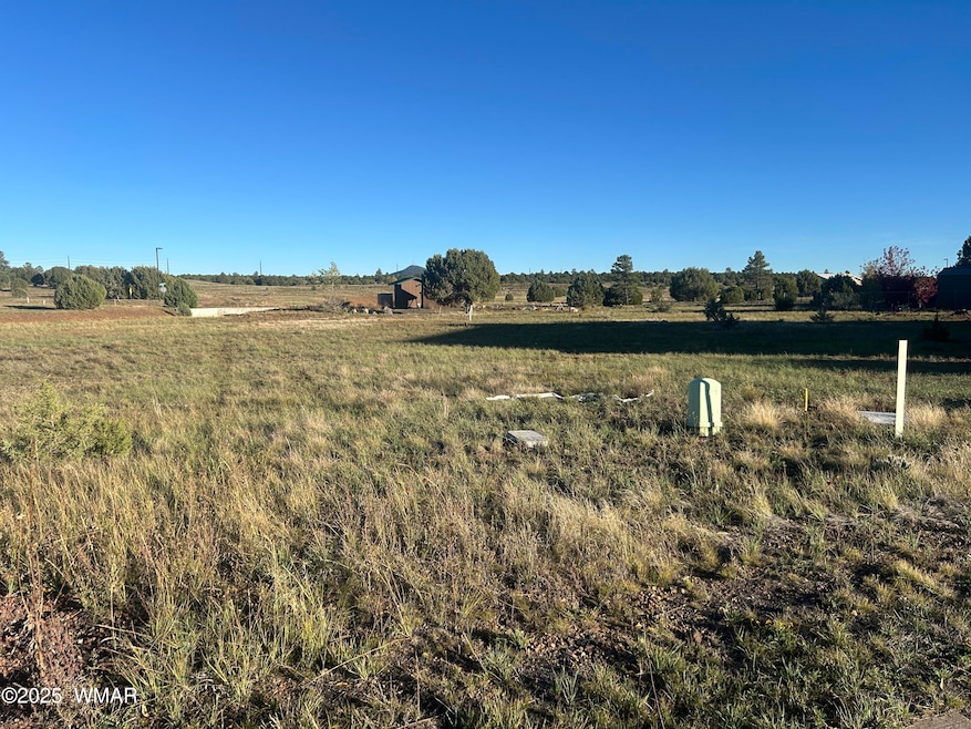 1041 S Lorenzo Sitgreaves Dr, Show Low, AZ 85901 - photo 1