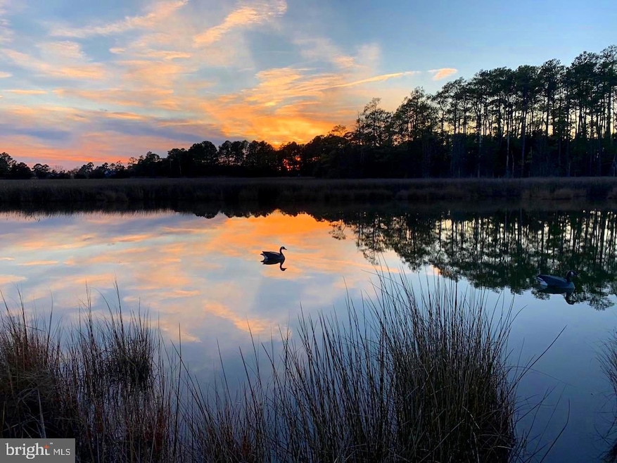 Parcel 0120 Bishops Head Rd, Toddville, MD 21672 - photo 1