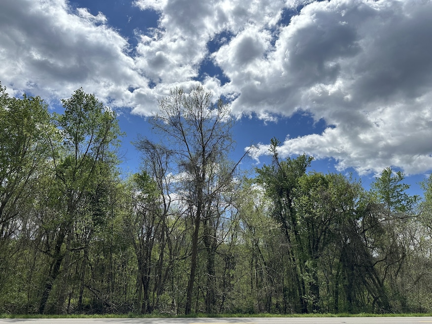 0 Highway 147 unit RTC2642337, Stewart, TN 37175 - photo 1