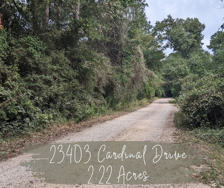 23403 Cardinal Dr, Hockley, TX 77447 - photo 1