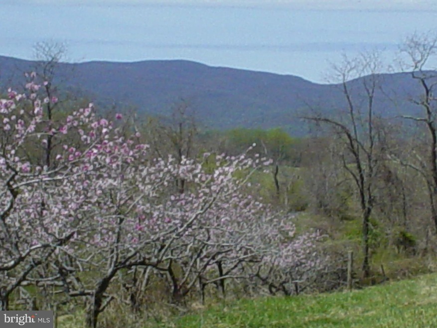 0 Ben Venue Rd unit 1000113599, Flint Hill, VA 22627 - photo 1