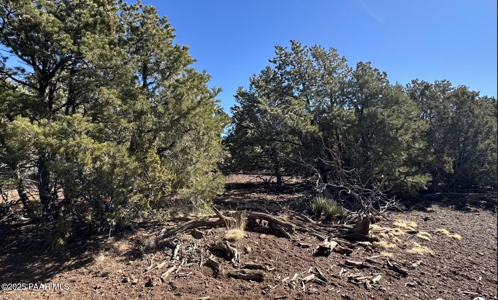 3264 N Willarney Way, Williams, AZ 86046 - photo 1