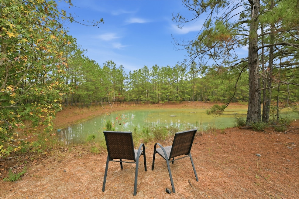 13040 Farm To Market Road 1725, Cleveland, TX 77328 - photo 1