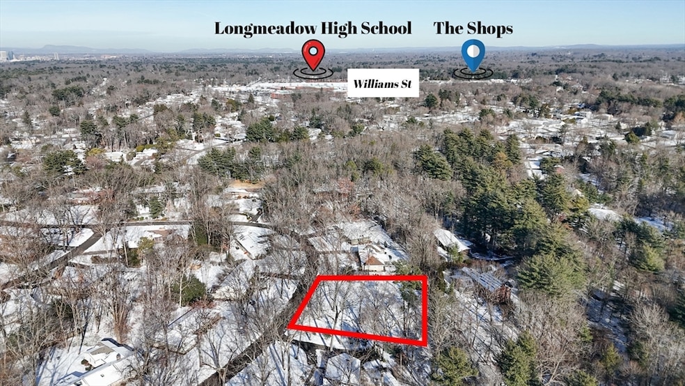 64 Magnolia Cir, Longmeadow, MA 01106 - photo 1