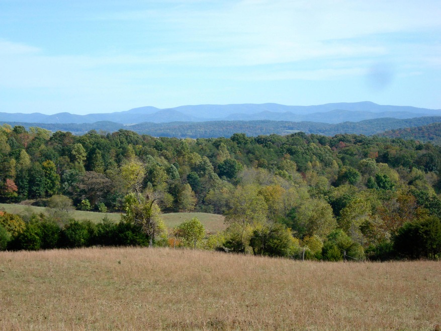 Taylor Branch
