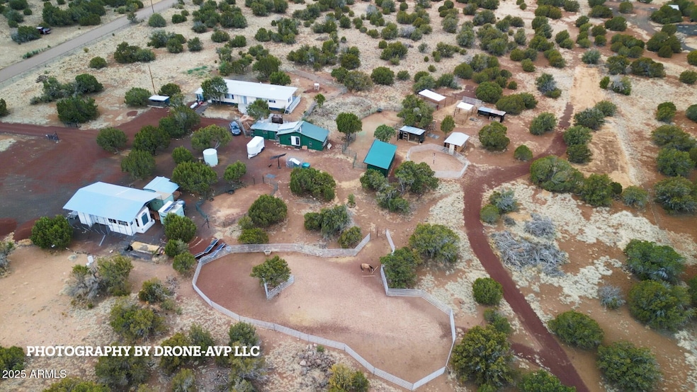 drone shot4 (002)