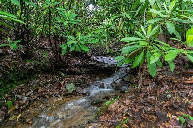 This calming creek from the Trout Pond runs throug