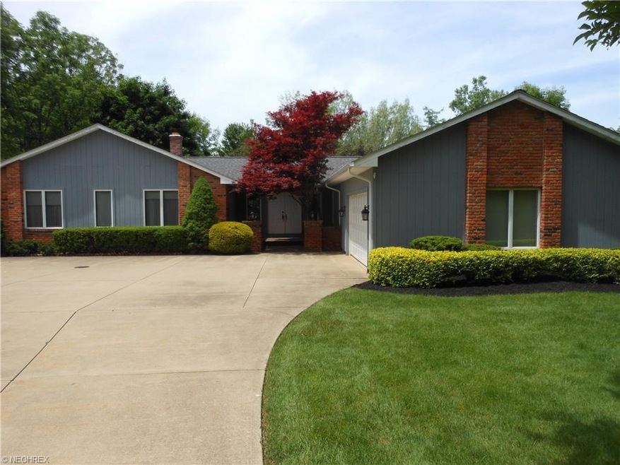 OPEN CONTEMPORARY RANCH!