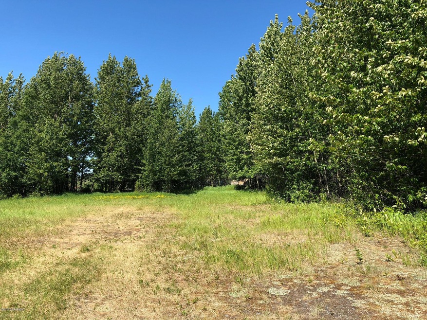 2808 E 154th Ave, Anchorage, AK 99516 - photo 1