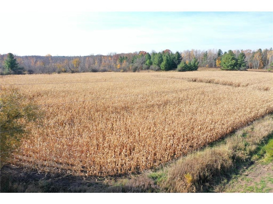XXX Lara Road Rd, Grantsburg, WI 54840 - photo 1