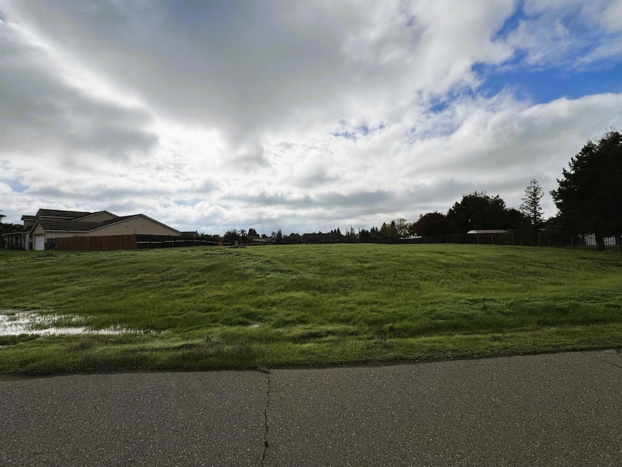 2945 Pandit Noor Way, Merced, CA 95348 - photo 1