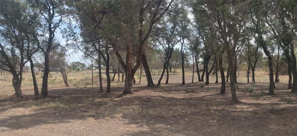 2709 S Main St, Weatherford, TX 76087 - photo 1