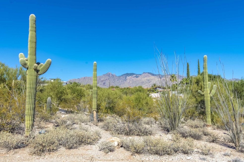4625 N Camino Ocotillo__029