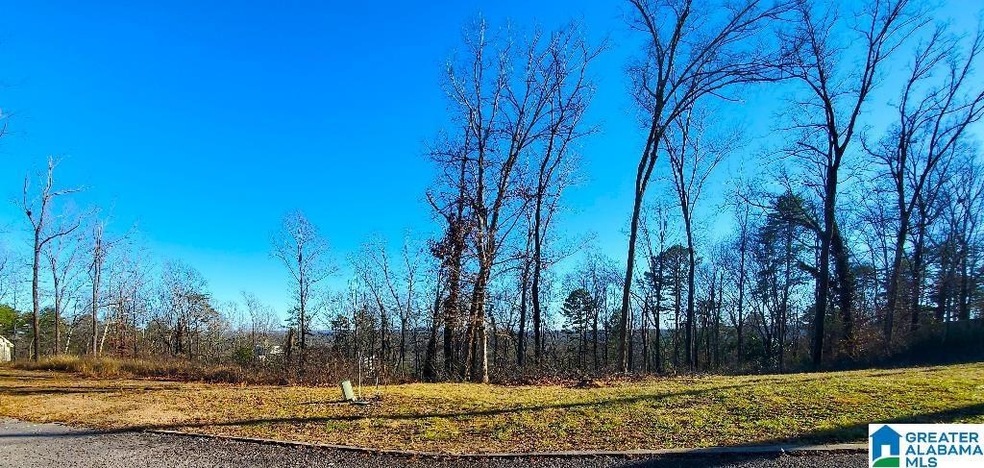 5009 Altamont Rd S unit 10, Birmingham, AL 35222 - photo 1