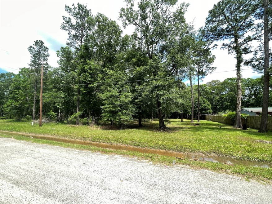 0 County Road 3750 N, Cleveland, TX 77328 - photo 1