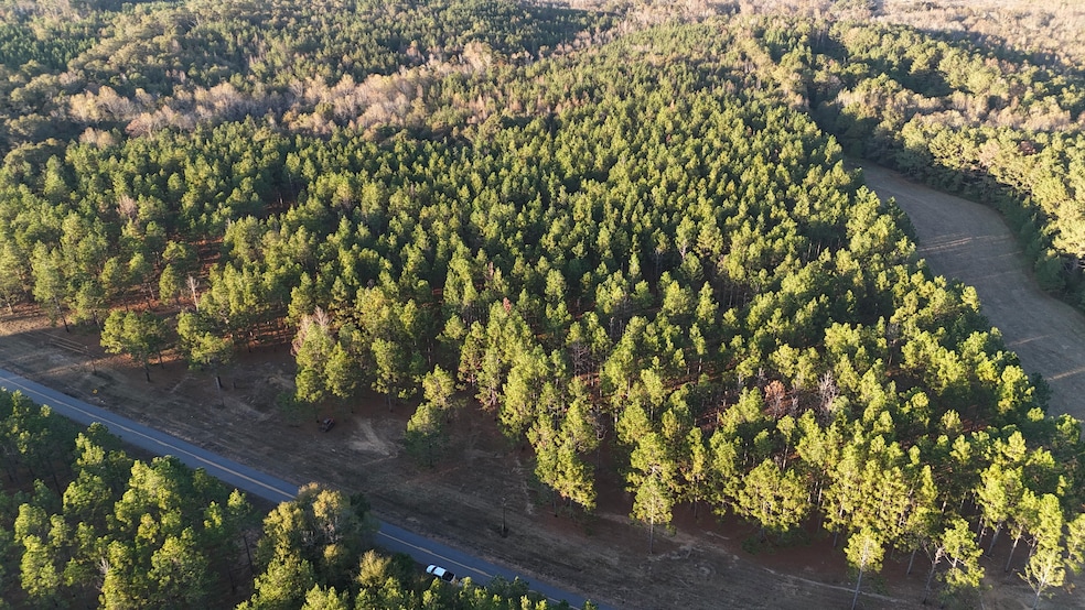 County Road 1156, Troy, AL 36079 - photo 1