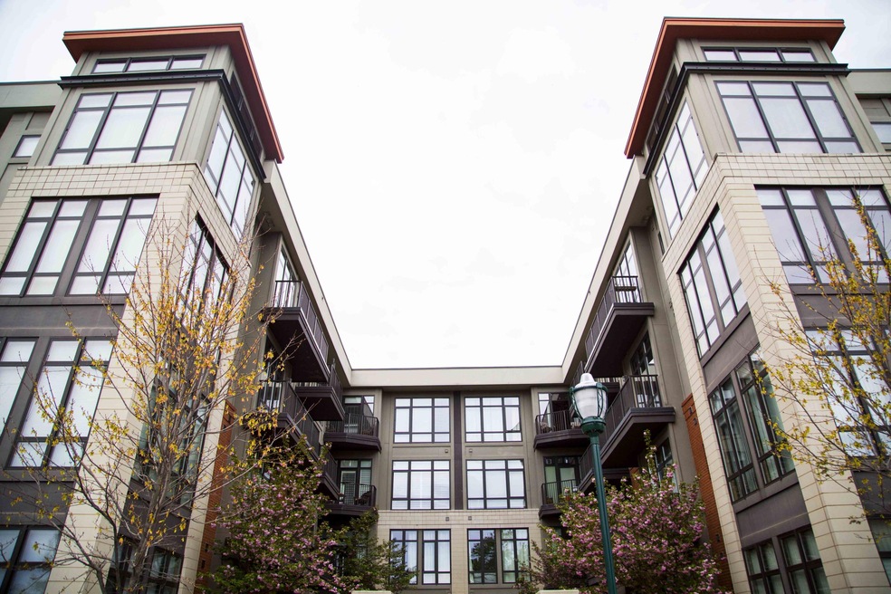 Walnut st-0039.jpg