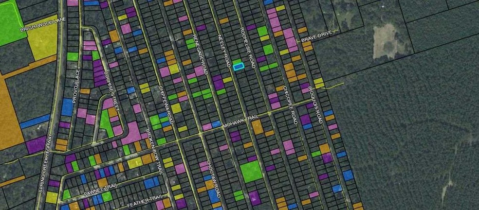 Lots 11-12 Neeley Rd, Crawfordville, FL 32327 - photo 1