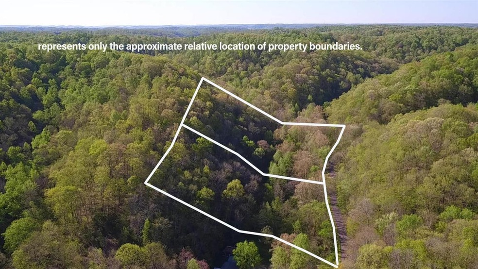 828 Blue Stocking Hllw Rd, Shelbyville, TN 37160 - photo 1