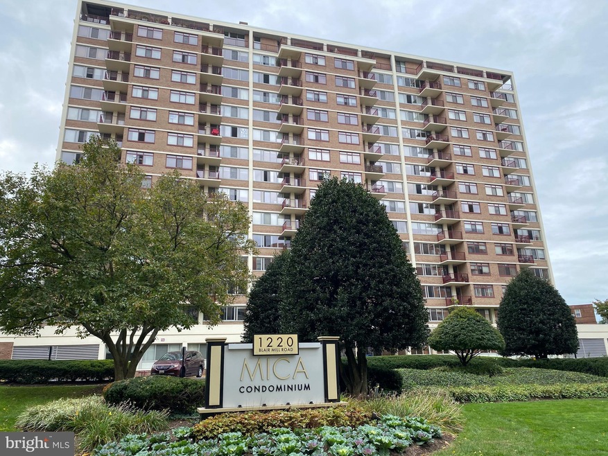 Mica Condominiums unit 602, Silver Spring, MD 20910 - photo 1