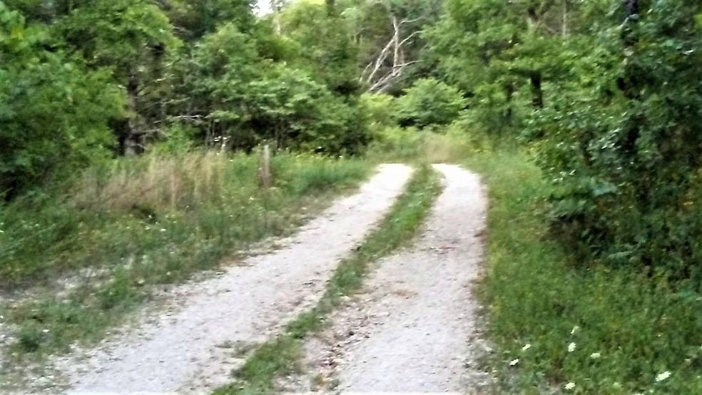 20180710135924912257000000-o (2)