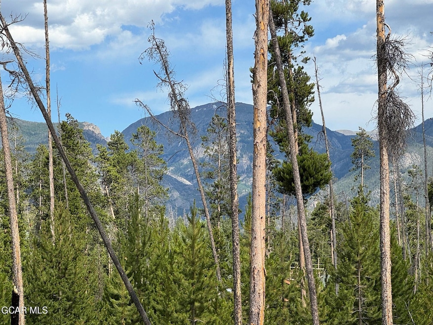 TBD Gcr 471 #3, Grand Lake, CO 80447 - photo 1