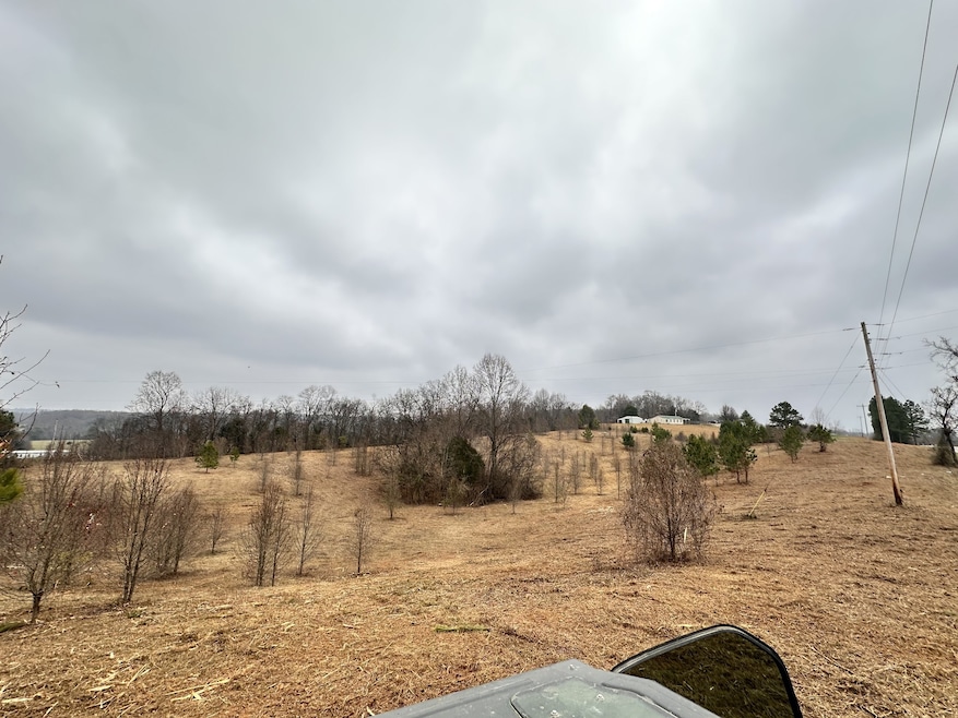 0 McCormick Ridge Rd unit RTC3059984, Whitleyville, TN 38588 - photo 1