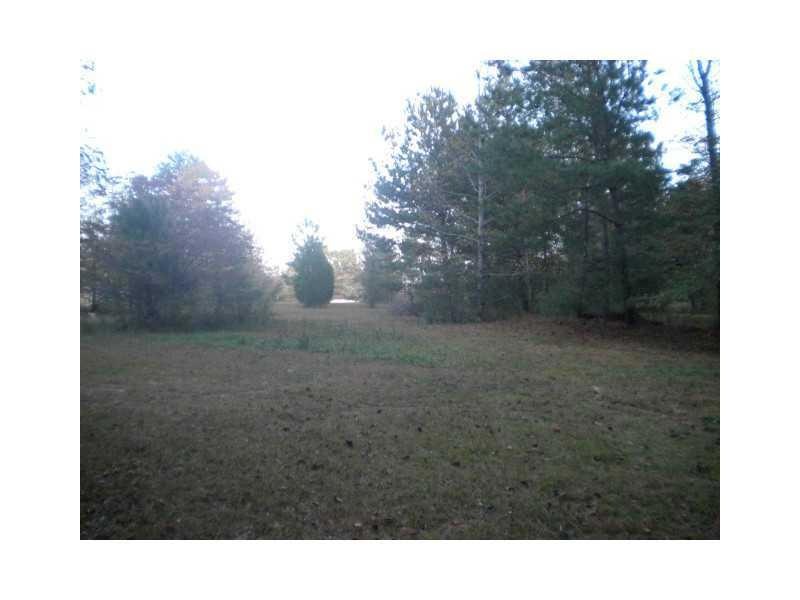 Back Yard.