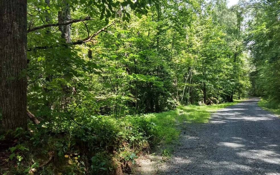 3.01 Doublehead Gap Rd, Ellijay, GA 30536 - photo 1