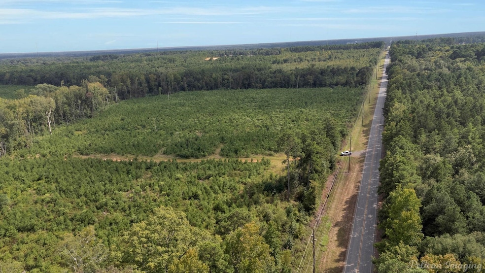 0 Louisiana 157 unit 21128560, Haughton, LA 71037 - photo 1