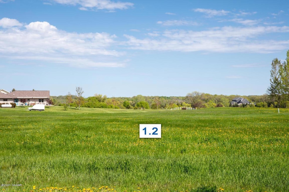 404 Lot1.2 Mallard Ln, Brandon, MN 56315 - photo 1