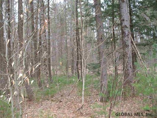 0 Lot 23 Kendrick Hill Rd unit 201602616, Wilton, NY 12866 - photo 1