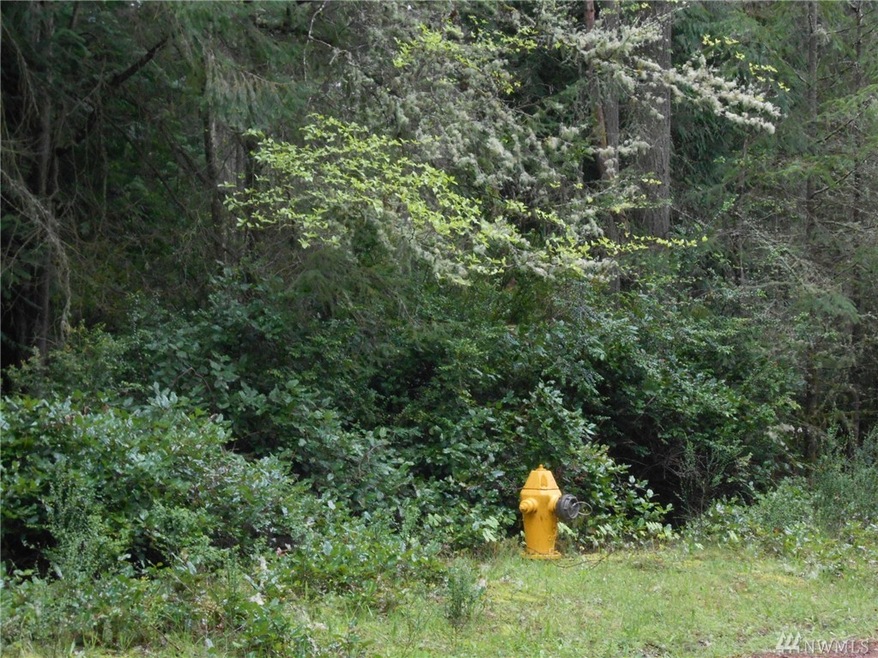 8914 Otso Point Rd, Anderson Island, WA 98303 - photo 1