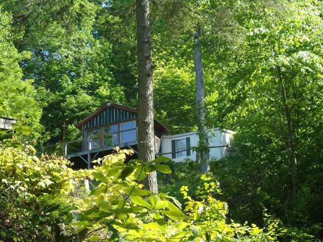 Main View