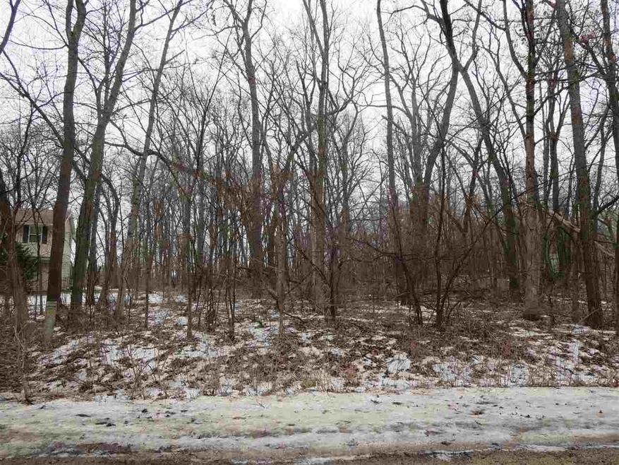 L27 Meander Wood Rd, Rutland, WI 53575 - photo 1