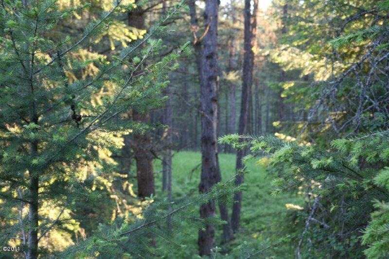Main Photo