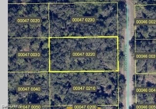 1919 Robert Ave, Lehigh Acres, FL 33972 - photo 1