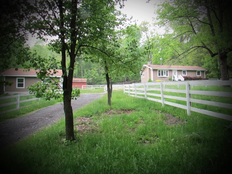 127 Mattison Rd, Branchville, NJ 07826 - photo 1
