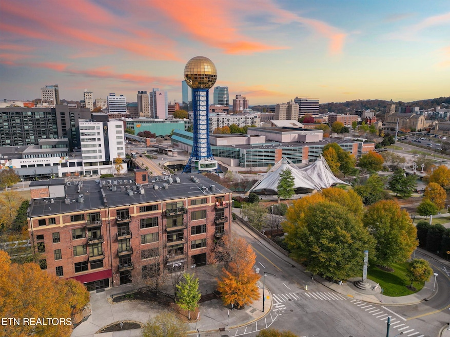 1060 Worlds Fair Park Dr unit 16, Knoxville, TN 37916 - photo 1