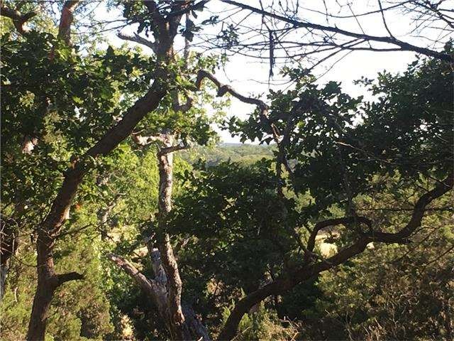 Views through the trees