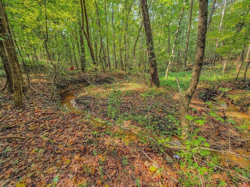 0 Pace Dr unit 9061379, Nicholson, GA 30565 - photo 1