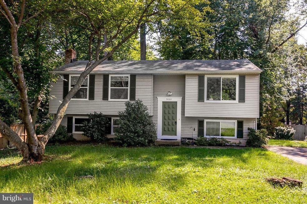 3060 Railroad Vine Ct, Fairfax, VA 22031 - photo 1