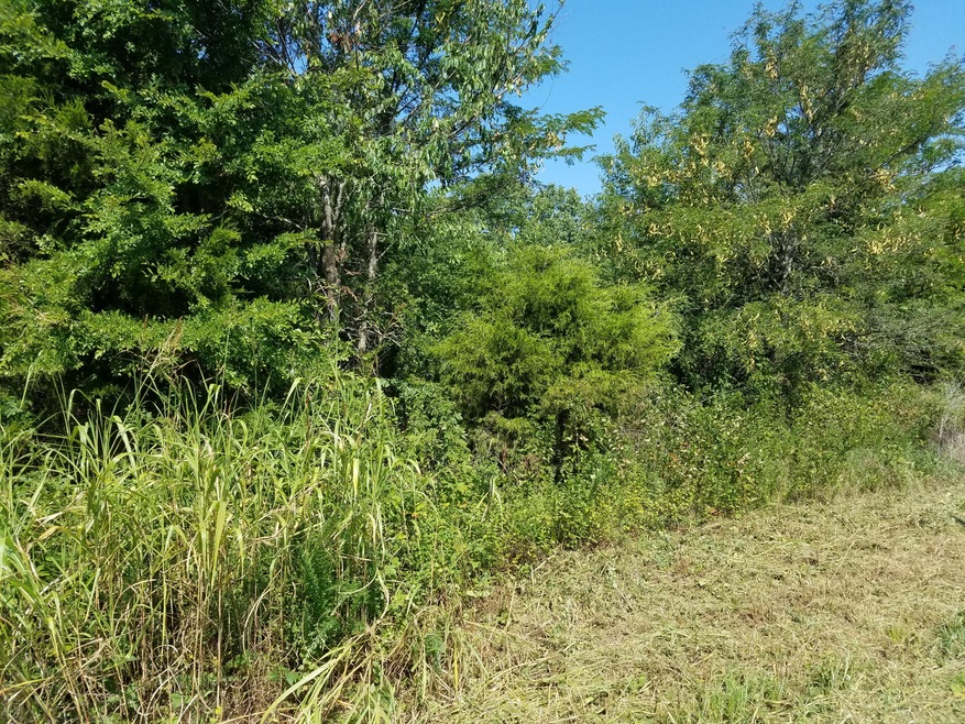 20180802_104441