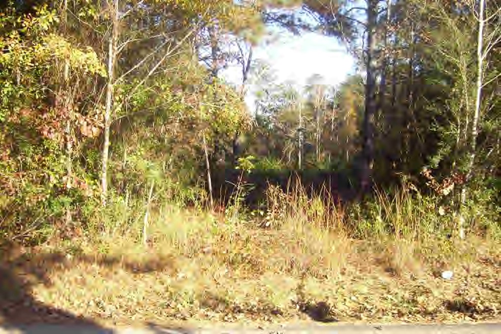 1246 J Carter Rd, Magnolia, MS 39652 - photo 1