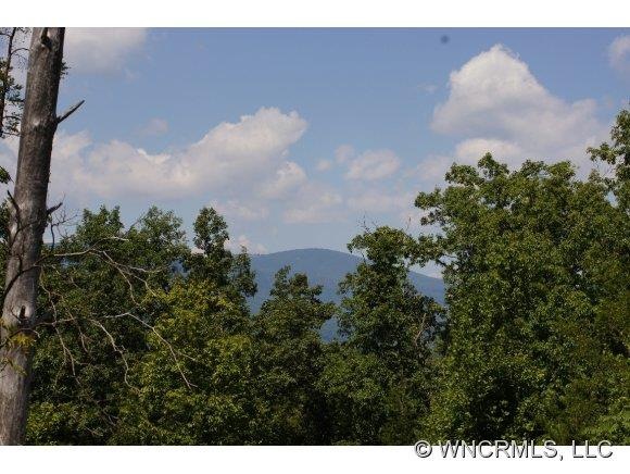 Summer & Winter Mountain Views