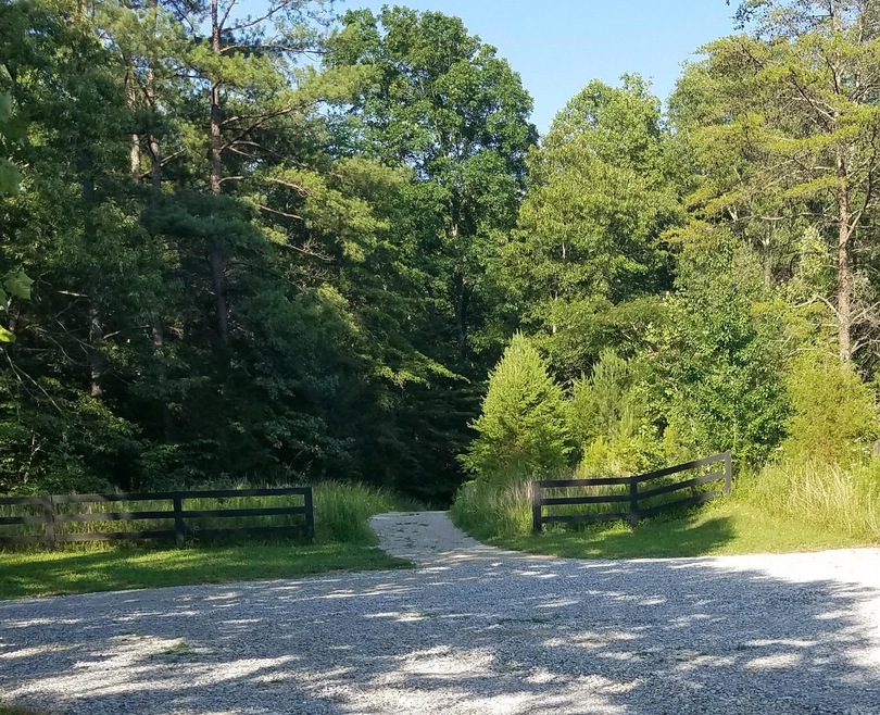 Opening to the property from the Lake area. This is Black Pine Road.