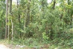 xx Coastal Hwy, Crawfordville, FL 32327 - photo 1