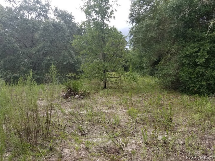 1463 E Ridgefield Dr, Hernando, FL 34442 - photo 1