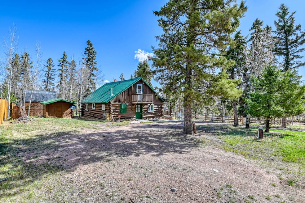 33 Friar Tuck Dr, Divide, CO 80814 - photo 1